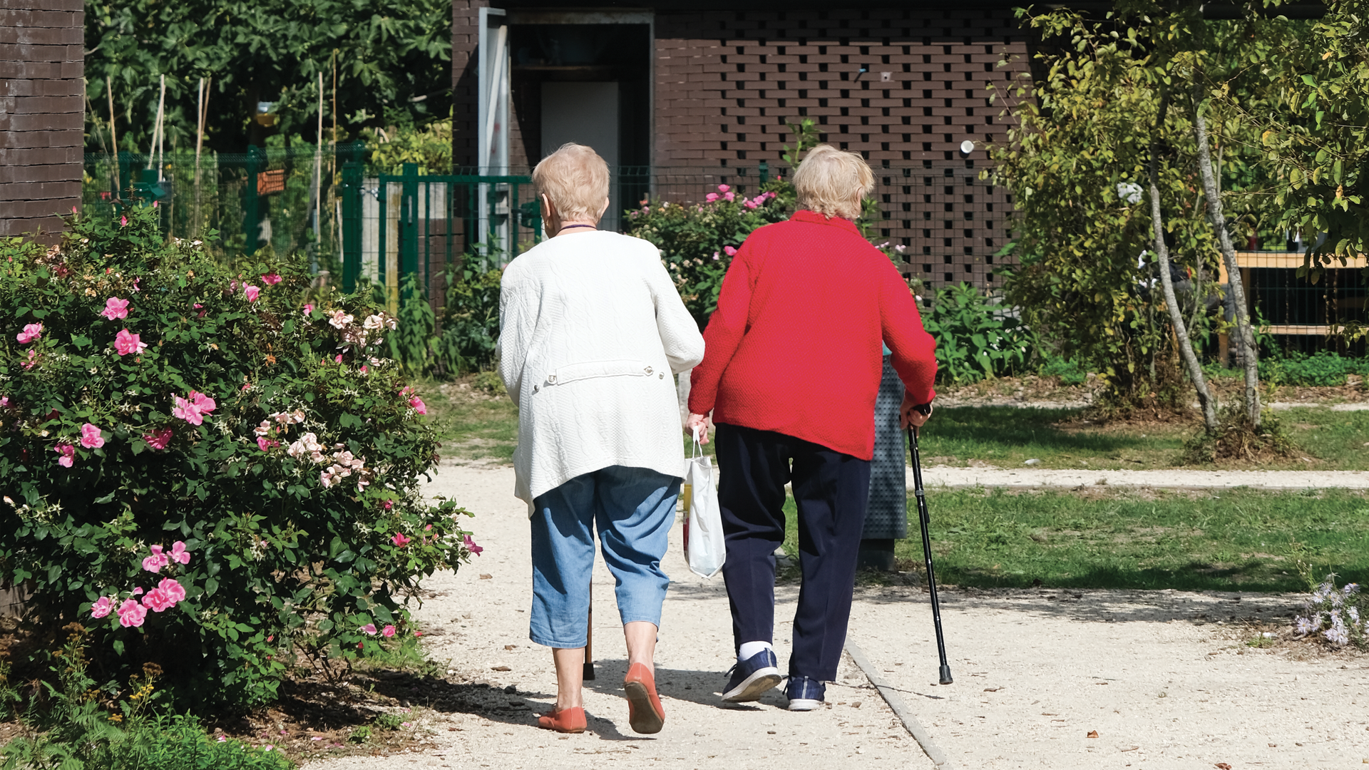Création d’un jardin partagé intergénérationnel