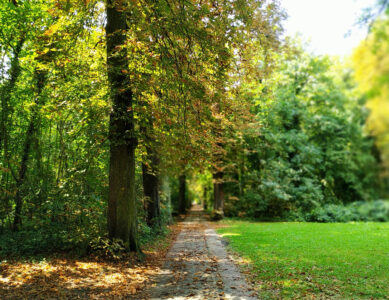 Défendre le Parc de la Poudrerie