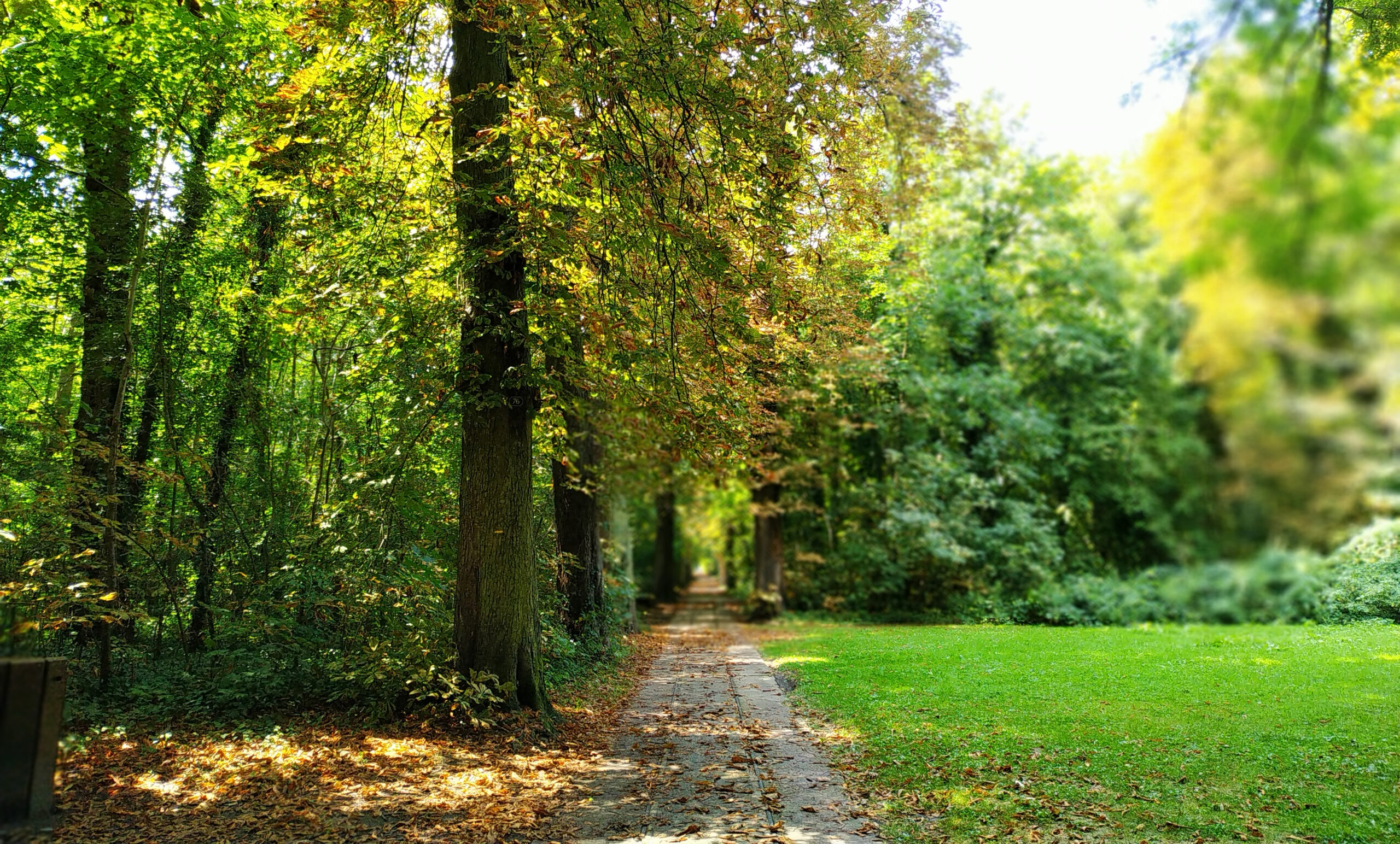 Défendre le Parc de la Poudrerie